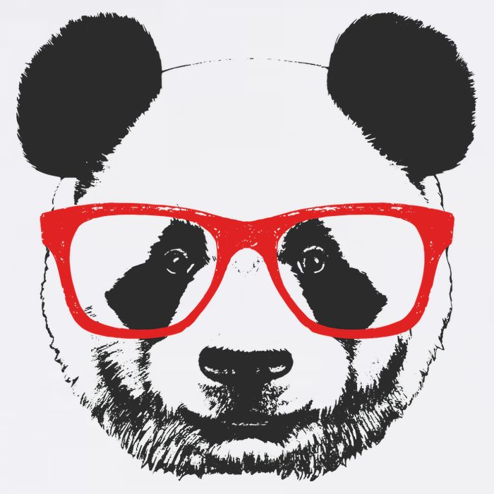 Portrait of Panda with glasses Poster