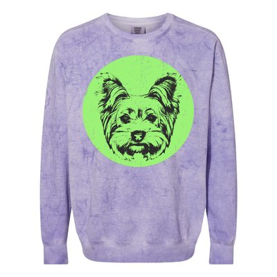 Portrait of Yorkshire Terrier Dog Colorblast Crewneck Sweatshirt