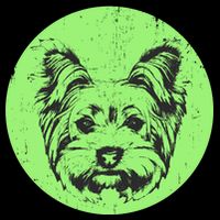 Portrait of Yorkshire Terrier Dog 16 in Basic Backpack