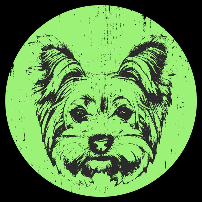 Portrait of Yorkshire Terrier Dog 16 in Basic Backpack