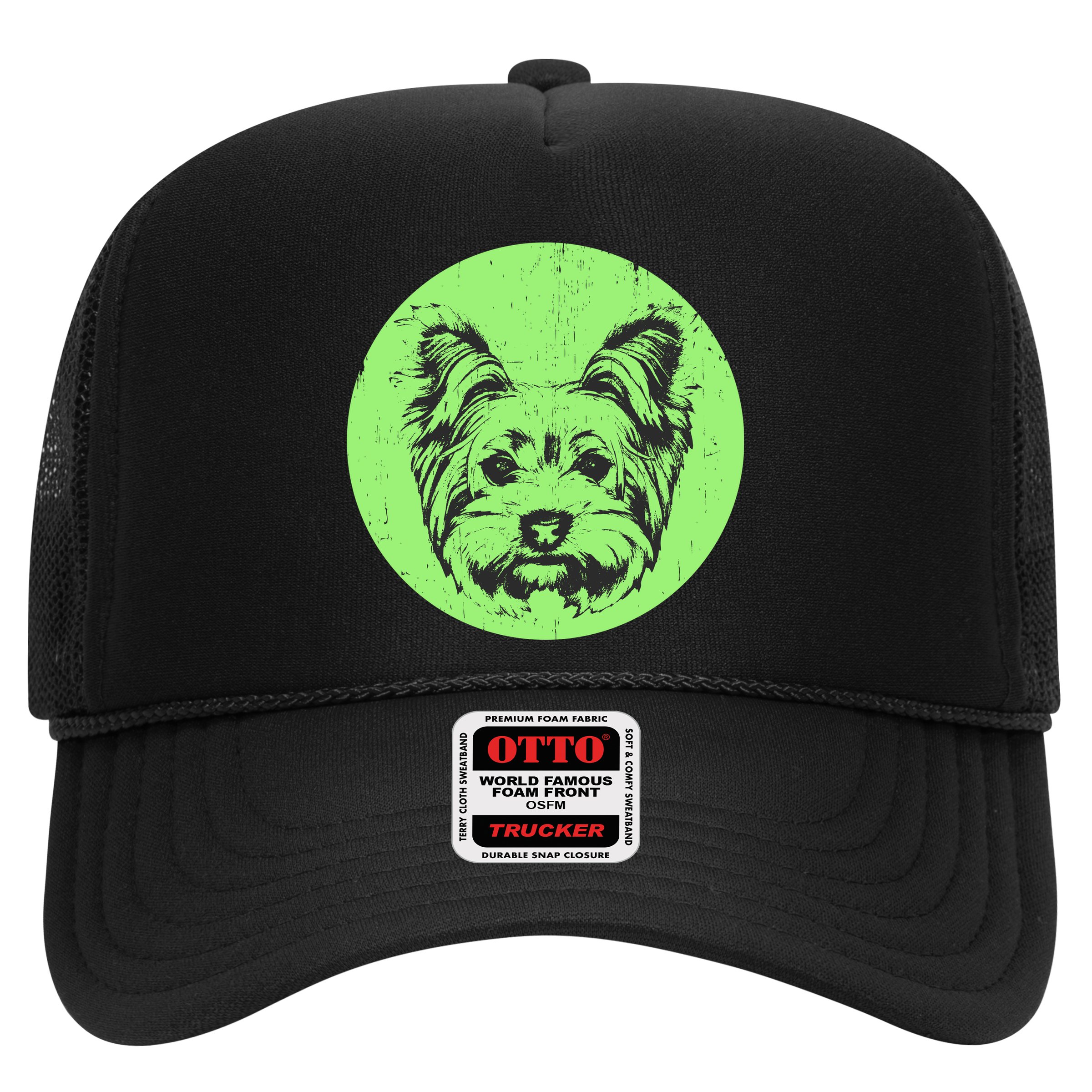 Portrait of Yorkshire Terrier Dog Hat