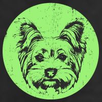 Portrait of Yorkshire Terrier Dog Hat