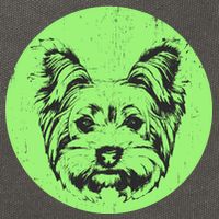Portrait of Yorkshire Terrier Dog Cotton Canvas Backpack