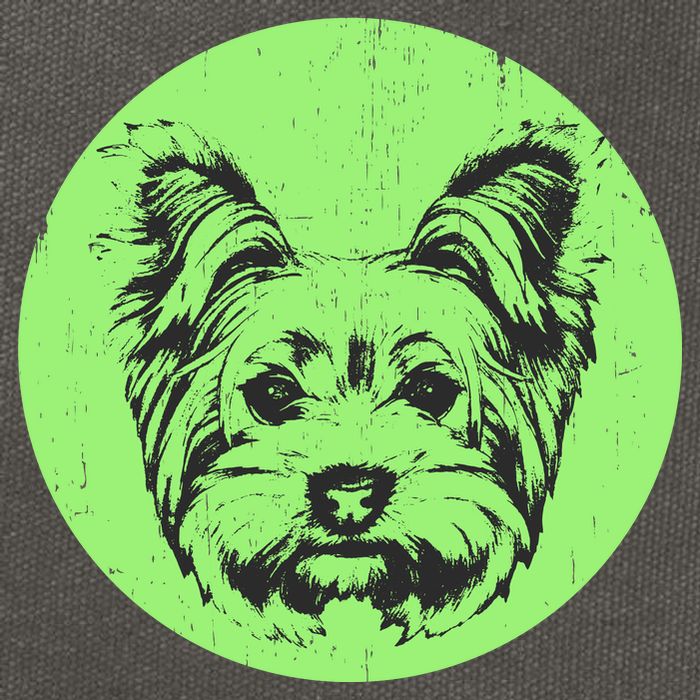 Portrait of Yorkshire Terrier Dog Cotton Canvas Backpack