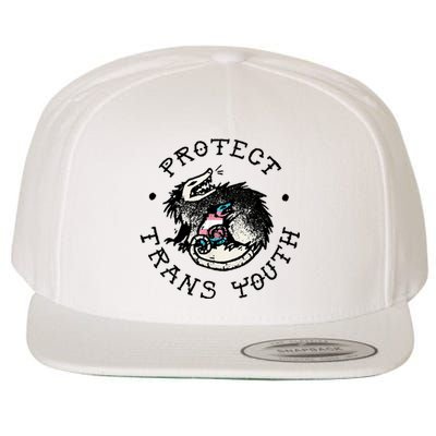 Protecttrans Opossum Support Lgbt Pride Wool Snapback Cap