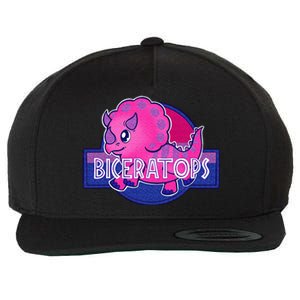 Property Of Sudbury Bulldog Funny Wool Snapback Cap