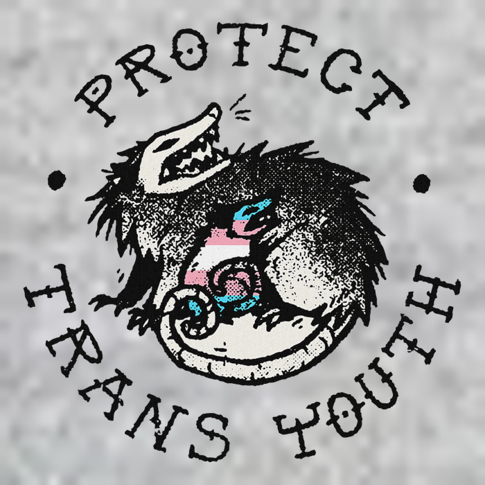 Protect Opossum Support Lgbt Pride Long Sleeve Shirt