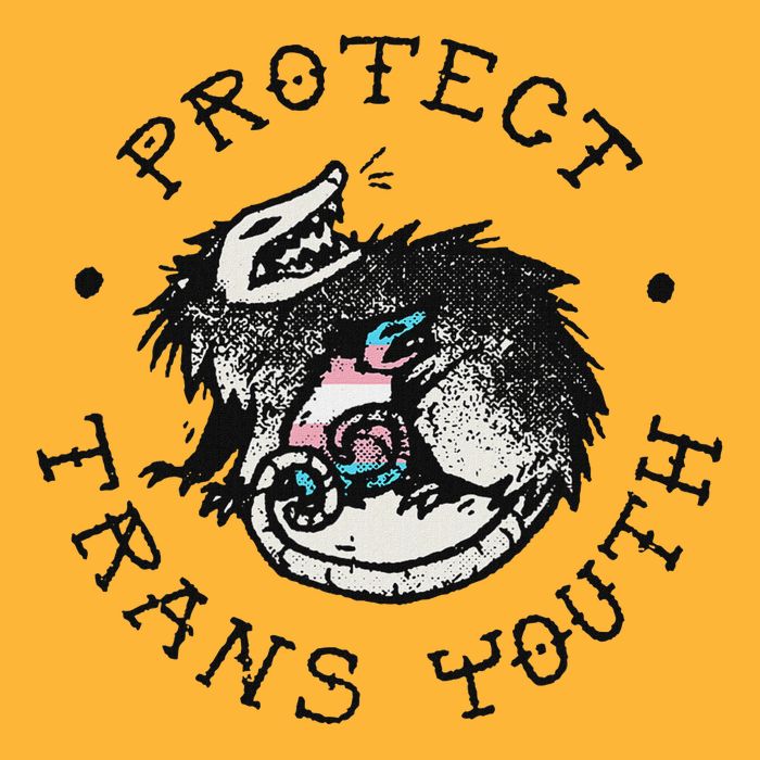 Protect Opossum Support Lgbt Pride Pom Pom 12in Knit Beanie