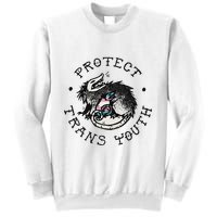 Protect Opossum Support Lgbt Pride Sweatshirt