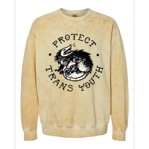 Protect Opossum Support Lgbt Pride Colorblast Crewneck Sweatshirt