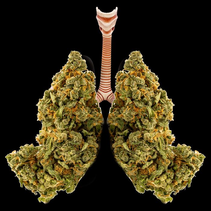Pot Lungs Performance Shirt