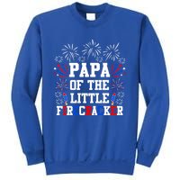 Papa Of The Little Firecracker Gift 4th Of July Birthday Gift Sweatshirt