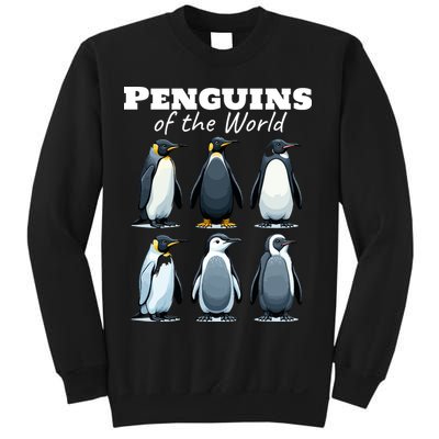 Penguins Of The World Sweatshirt