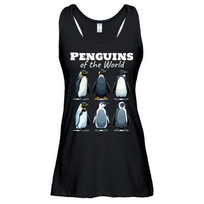 Penguins Of The World Ladies Essential Flowy Tank