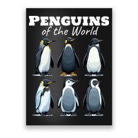 Penguins Of The World Poster