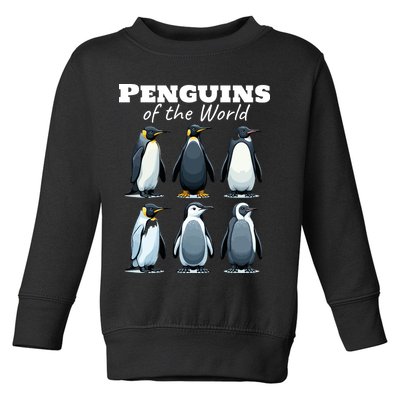 Penguins Of The World Toddler Sweatshirt