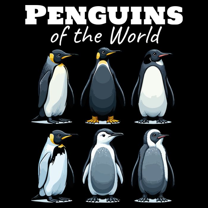 Penguins Of The World Women's V-Neck T-Shirt