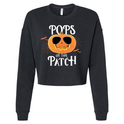 Pops Of The Patch Cropped Pullover Crew