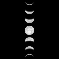 Phases Of The Moon 16 in Basic Backpack