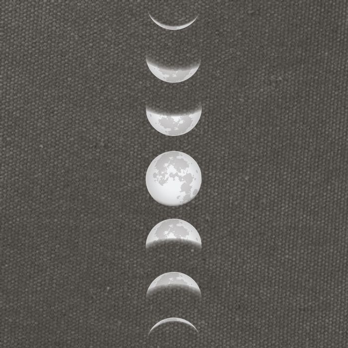 Phases Of The Moon Cotton Canvas Backpack