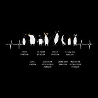 Penguins Of The World Antarctic Penguin Penguins Lover Sweatshirt