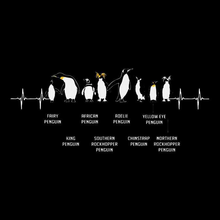 Penguins Of The World Antarctic Penguin Penguins Lover Sweatshirt