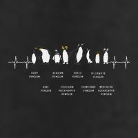 Penguins Of The World Antarctic Penguin Penguins Lover Golf Towel