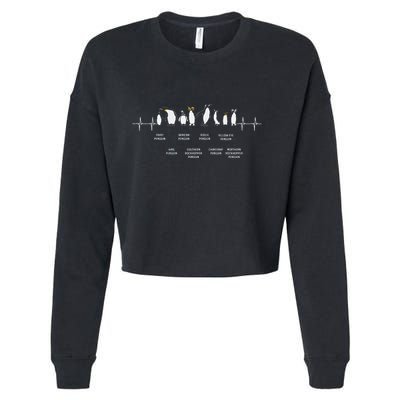 Penguins Of The World Antarctic Penguin Penguins Lover Cropped Pullover Crew