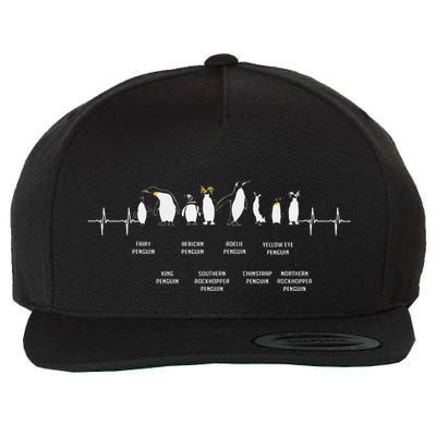 Penguins Of The World Antarctic Penguin Penguins Lover Wool Snapback Cap