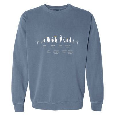 Penguins Of The World Antarctic Penguin Penguins Lover Garment-Dyed Sweatshirt