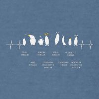 Penguins Of The World Antarctic Penguin Penguins Lover Garment-Dyed Sweatshirt