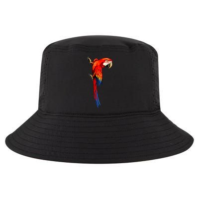 Parrot On Wall Cool Comfort Performance Bucket Hat