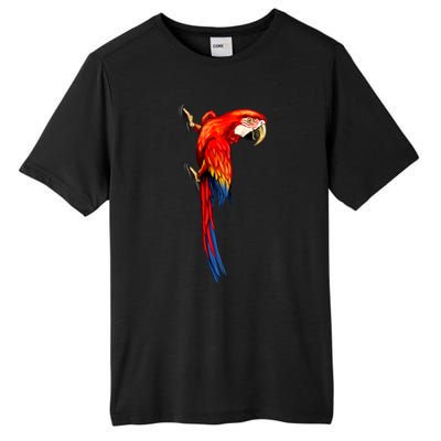 Parrot On Wall Tall Fusion ChromaSoft Performance T-Shirt