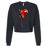 Parrot On Wall Cropped Pullover Crew