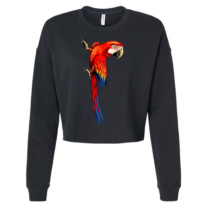 Parrot On Wall Cropped Pullover Crew