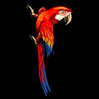 Parrot On Wall Cropped Pullover Crew