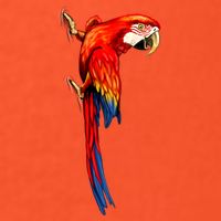 Parrot On Wall Visor
