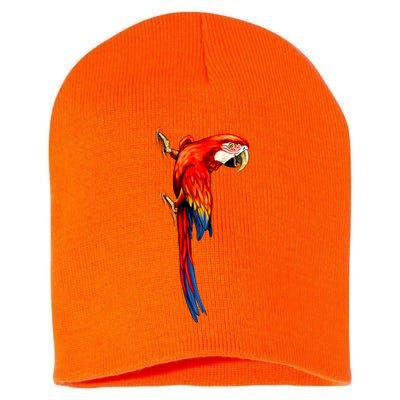 Parrot On Wall Short Acrylic Beanie