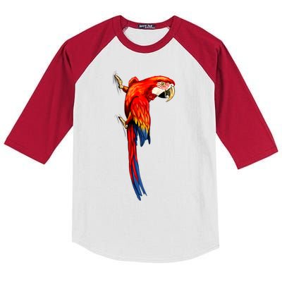 Parrot On Wall Kids Colorblock Raglan Jersey