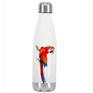 Parrot On Wall Stainless Steel Insulated Water Bottle