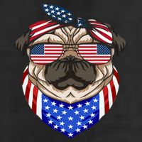 Patriotic Pug 4th Of July Cute Dog American Flag Sunglasses 7 Panel Mesh Trucker Snapback Hat