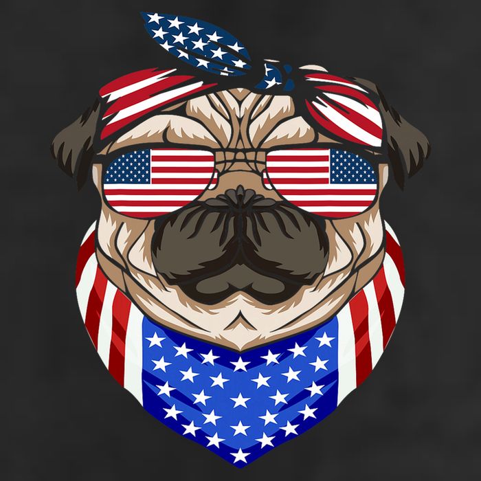 Patriotic Pug 4th Of July Cute Dog American Flag Sunglasses 7 Panel Mesh Trucker Snapback Hat