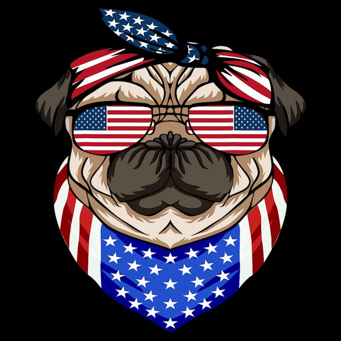 Patriotic Pug 4th Of July Cute Dog American Flag Sunglasses Drawstring Bag