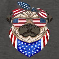 Patriotic Pug 4th Of July Cute Dog American Flag Sunglasses Vector Backpack