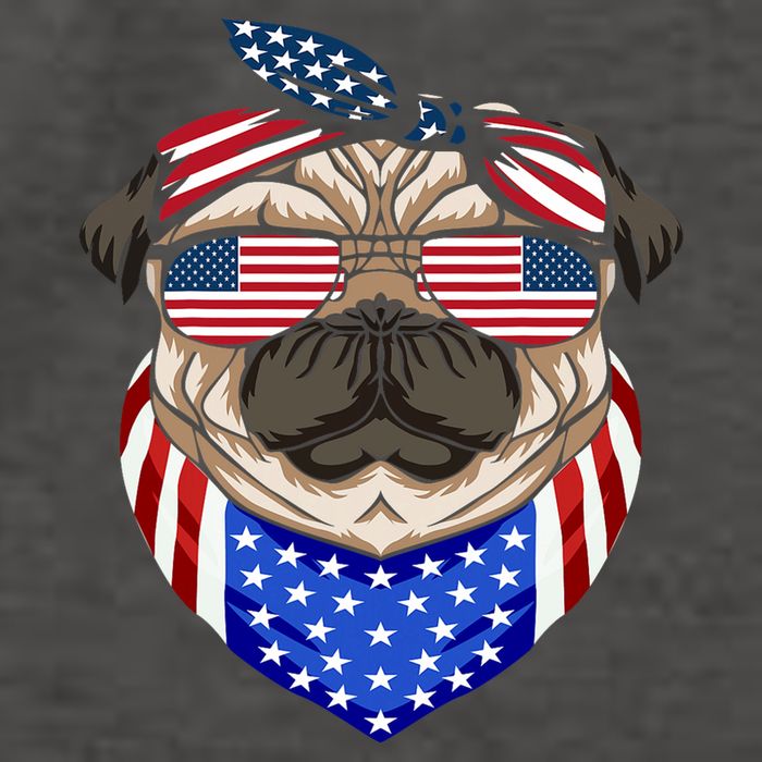 Patriotic Pug 4th Of July Cute Dog American Flag Sunglasses Vector Backpack