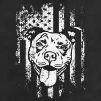 Patriotic Pitbull American Flag Dog Lover 7 Panel Mesh Trucker Snapback Hat