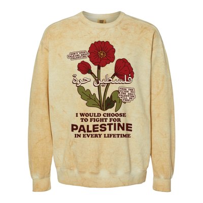 Palestine Colorblast Crewneck Sweatshirt