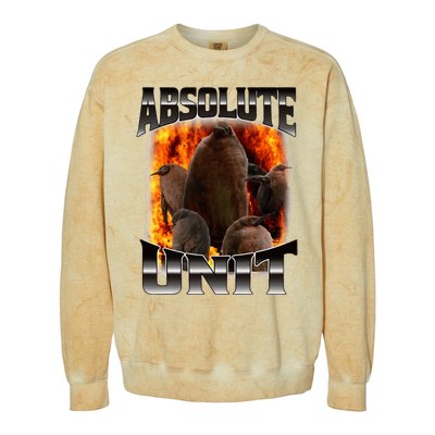 Pesto Penguin Absolute Unit Bootleg Rap Fire Colorblast Crewneck Sweatshirt