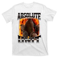 Pesto Penguin Absolute Unit Bootleg Rap Fire T-Shirt