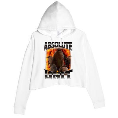 Pesto Penguin Absolute Unit Bootleg Rap Fire Crop Fleece Hoodie